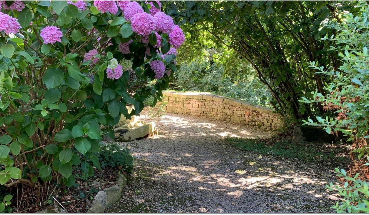 Mazette! Le Chateau Niort Exteriör bild