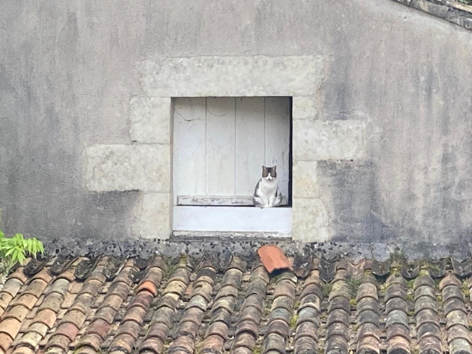 Mazette! Le Chateau Niort Exteriör bild