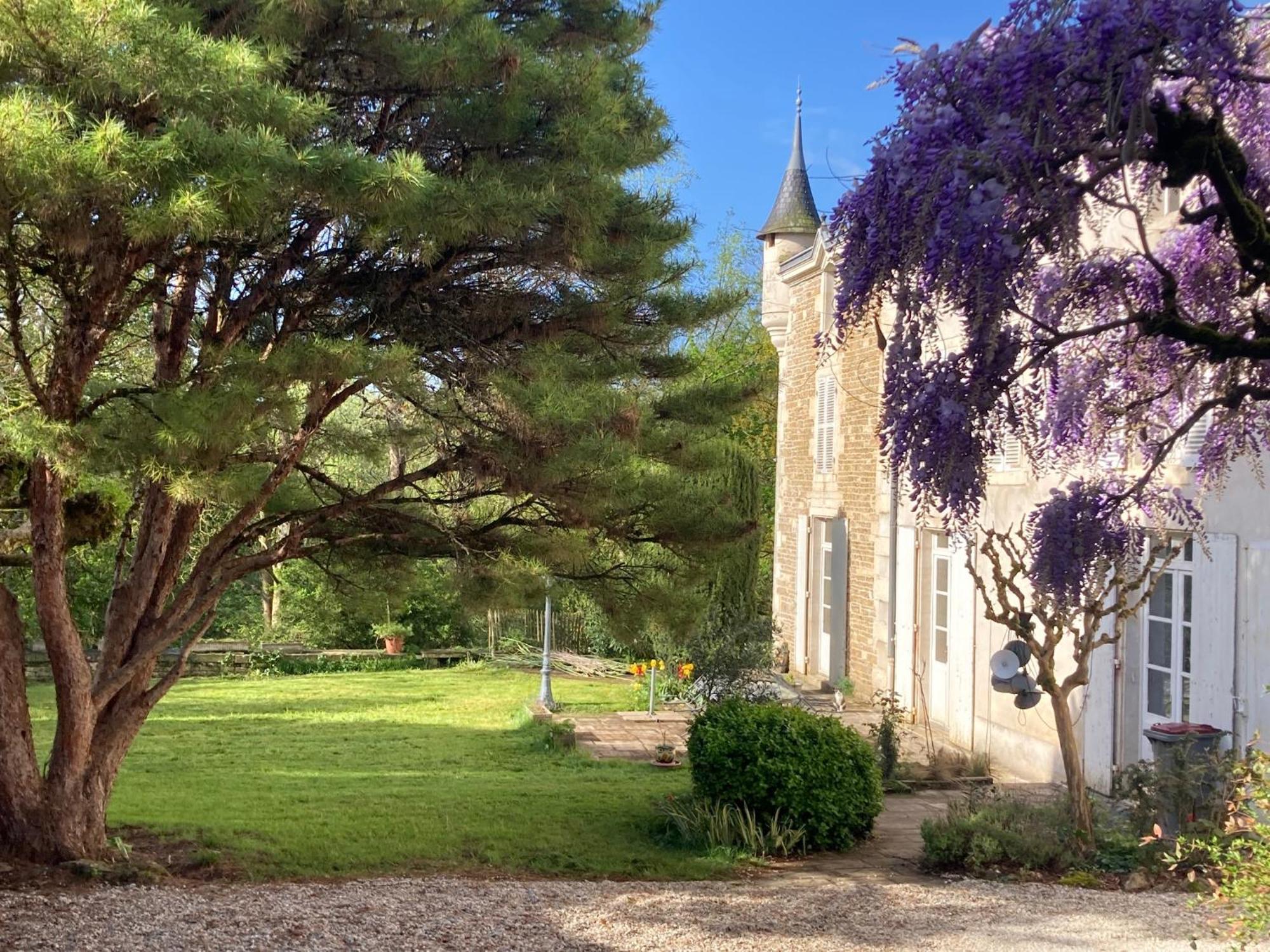 Mazette! Le Chateau Niort Exteriör bild